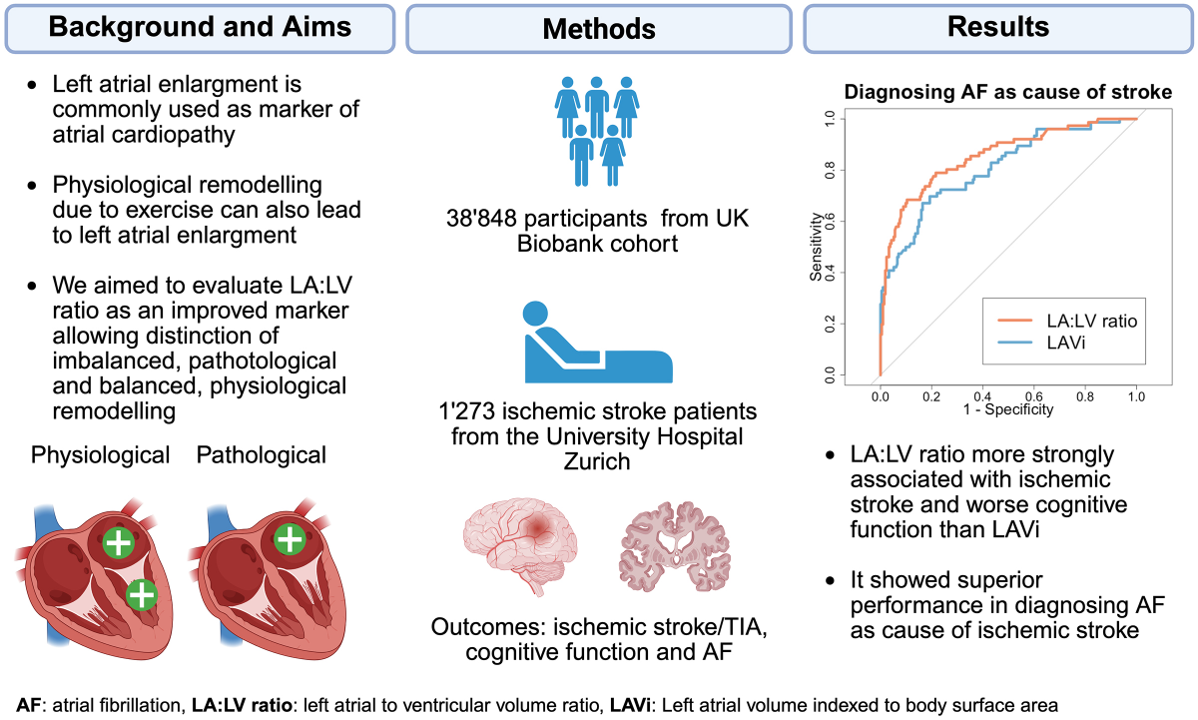 https://pubmed.ncbi.nlm.nih.gov/42312392/